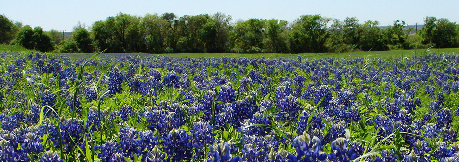 Big Tin Flag Bed Breakfast La Grange TX